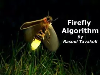 Firefly Algorithm By Rasool Tavakoli