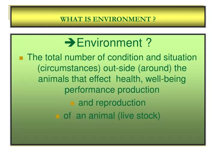 what is environment