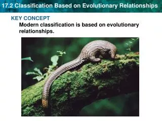 KEY CONCEPT Modern classification is based on evolutionary relationships.
