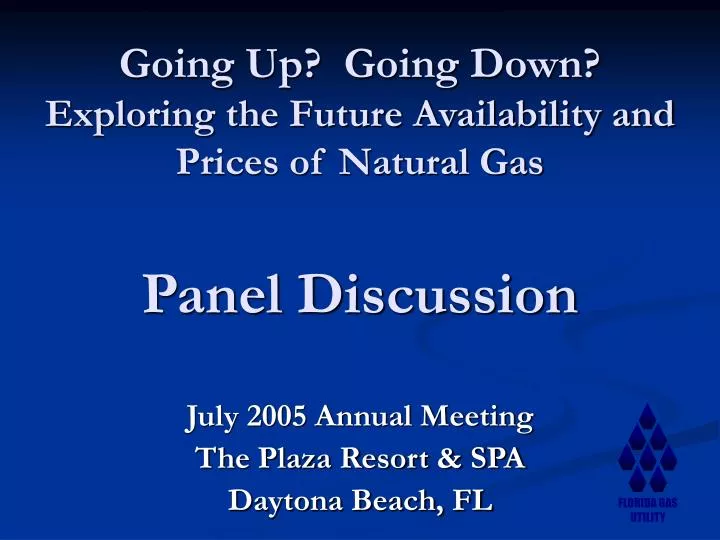 going up going down exploring the future availability and prices of natural gas panel discussion