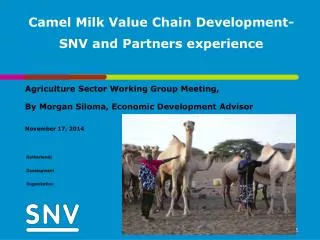 Camel Milk Value Chain Development- SNV and Partners experience