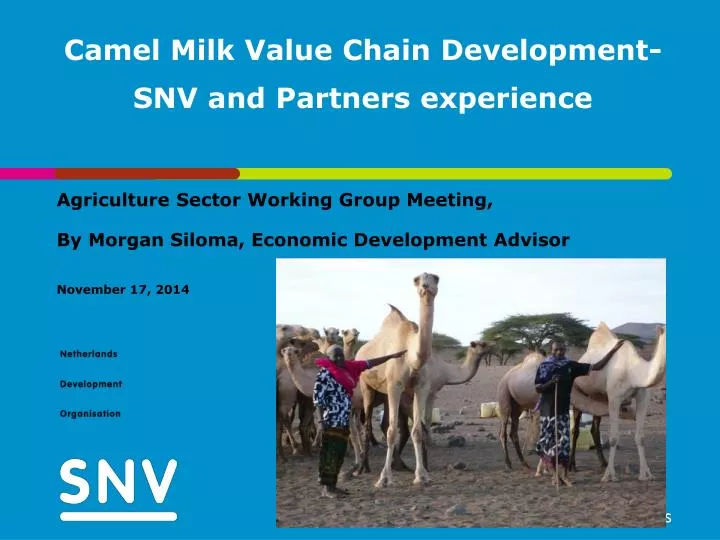camel milk value chain development snv and partners experience