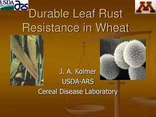 Durable Leaf Rust Resistance in Wheat