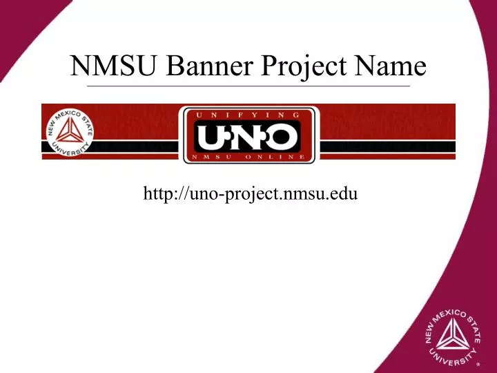 nmsu banner project name