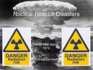 Nuclear Reactor Disasters
