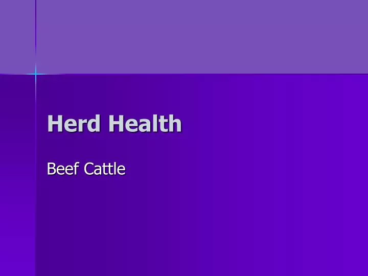 herd health