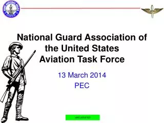 national guard association of the united states aviation task force