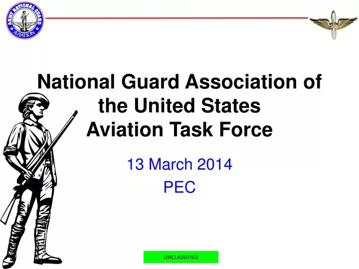national guard association of the united states aviation task force