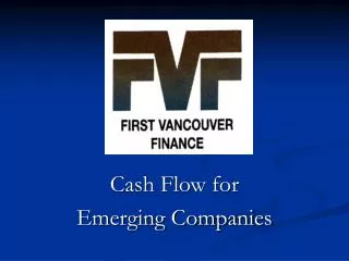 Cash Flow for Emerging Companies