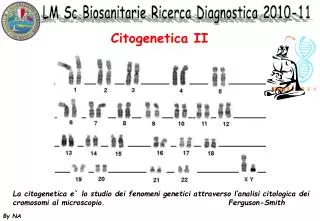citogenetica ii