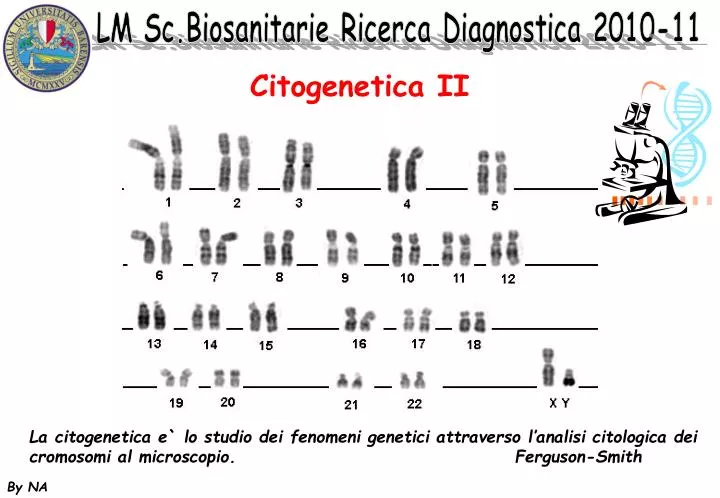 citogenetica ii