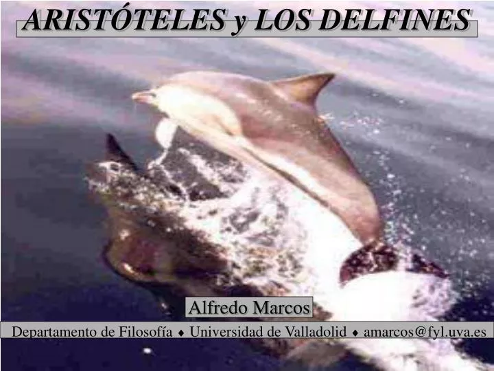 arist teles y los delfines