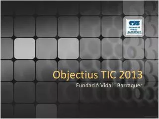 objectius tic 2013