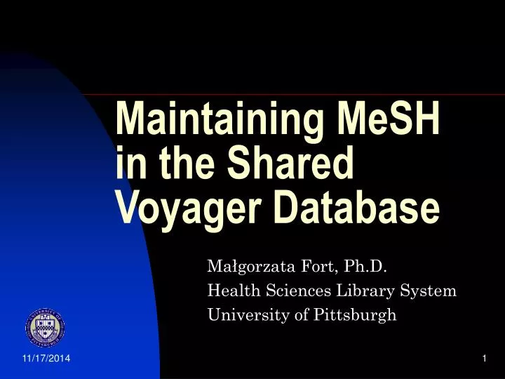 maintaining mesh in the shared voyager database