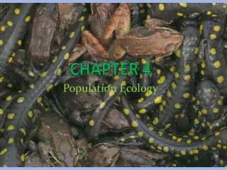 chapter 4