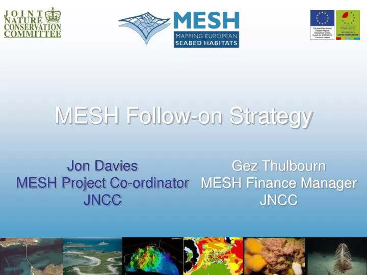 mesh follow on strategy