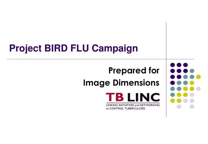 project bird flu campaign