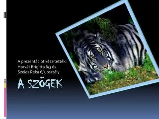 a prezent ci t k szitett k horv t brigitta 6 3 s szeles r ka 6 3 oszt ly