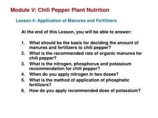 Module V: Chili Pepper Plant Nutrition