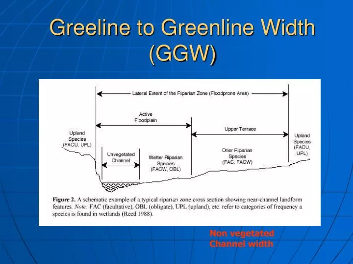 greeline to greenline width ggw