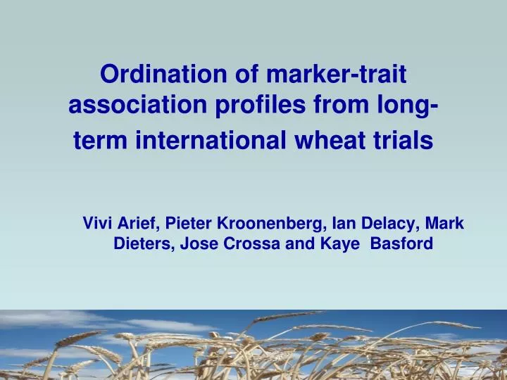ordination of marker trait association profiles from long term international wheat trials