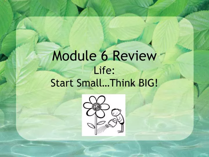 module 6 review life start small think big