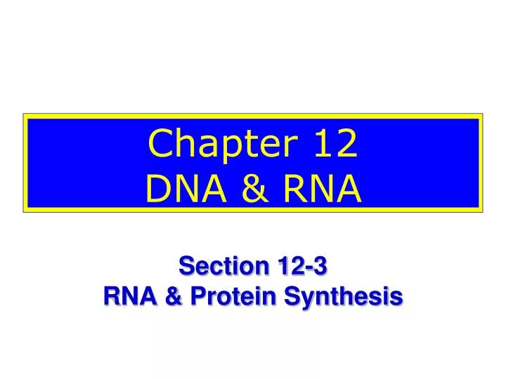chapter 12 dna rna