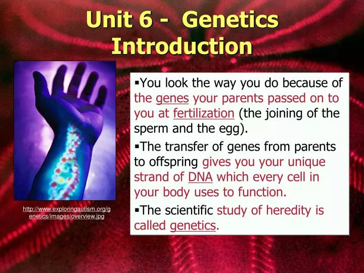 unit 6 genetics introduction
