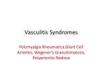 Vasculitis Syndromes - slide 1
