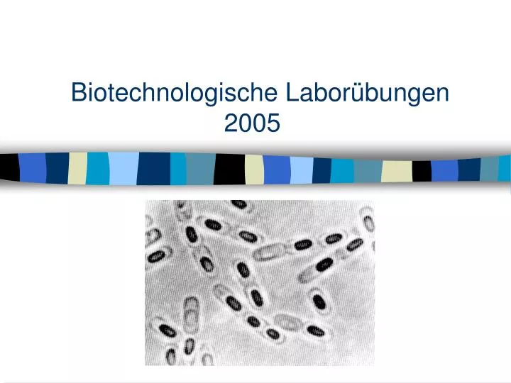 biotechnologische labor bungen 2005