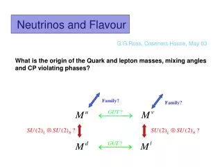 Neutrinos and Flavour