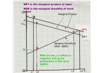 Marginal Product