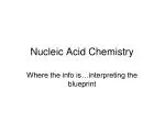 Nucleic Acid Chemistry - slide 1