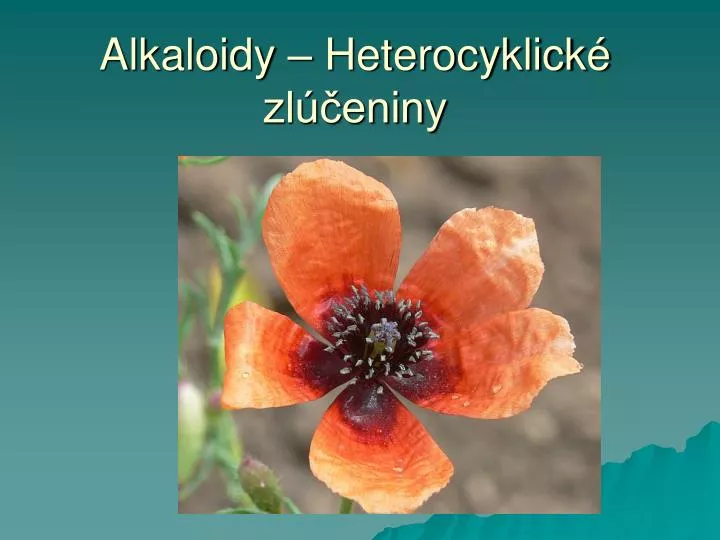alkaloidy heterocyklick zl eniny