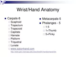 Wrist/Hand Anatomy