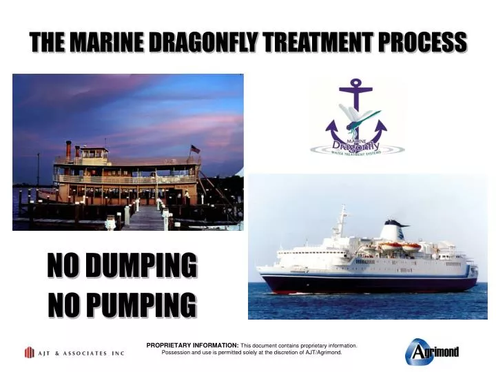 the marine dragonfly treatment process