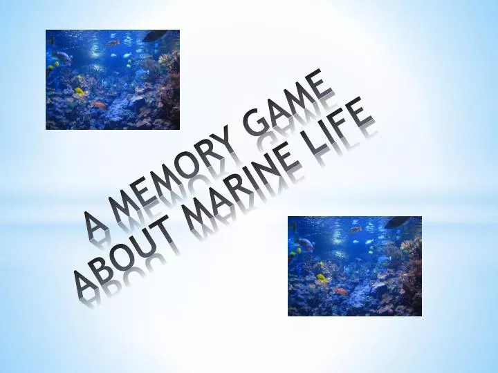 a memory game about marine life