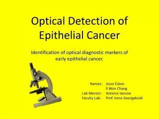 Optical Detection of Epithelial Cancer