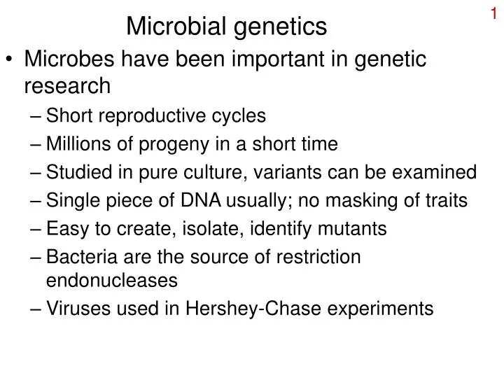 microbial genetics