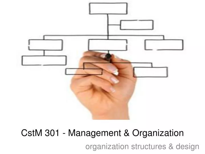 cstm 301 management organization