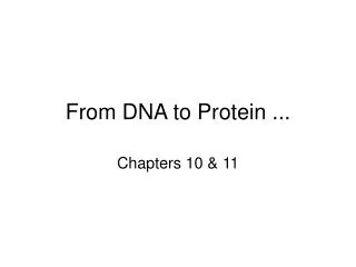 From DNA to Protein ...