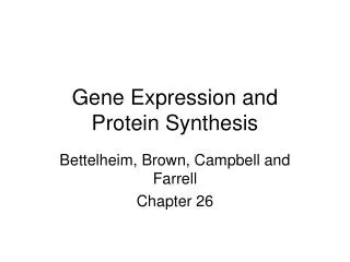 gene expression and protein synthesis