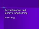Recombination and Genetic Engineering - slide 1