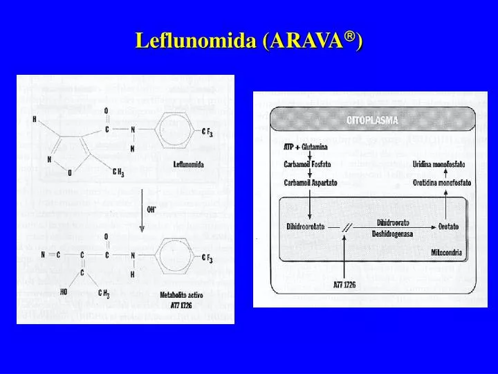 leflunomida arava