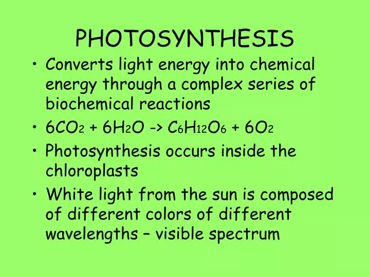 photosynthesis