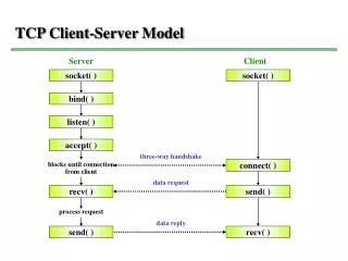 TCP Client-Server Model