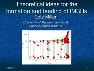 Theoretical ideas for the formation and feeding of IMBHs