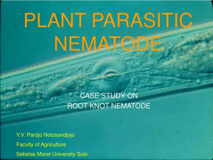 plant parasitic nematode
