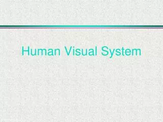 Human Visual System