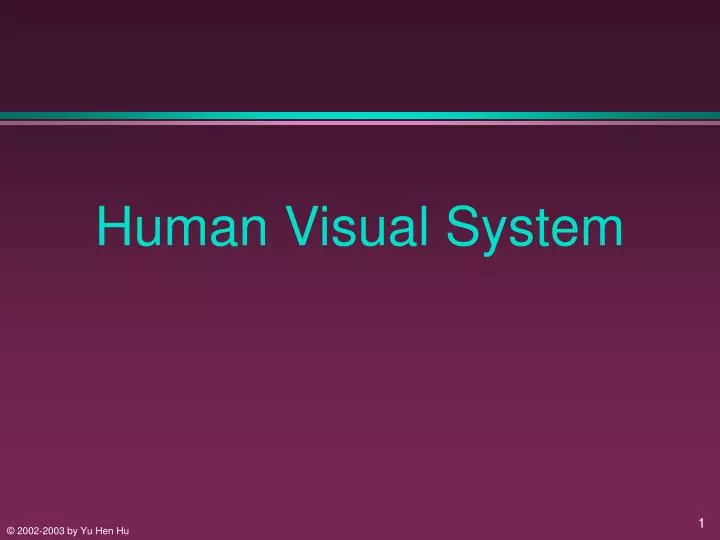 human visual system